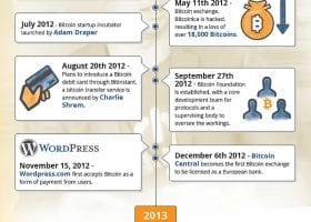 rise bitcoin infographic