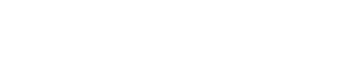 Nap York logo