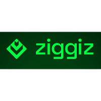 Ziggiz logo